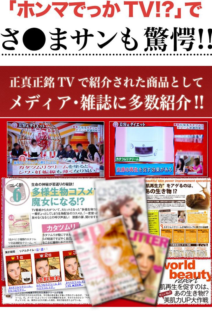 �����ނ���e�t