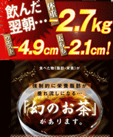 翌朝 2 7kg 下腹 下半身太りの為のダイエット茶 黒五葉茶 プロスピード